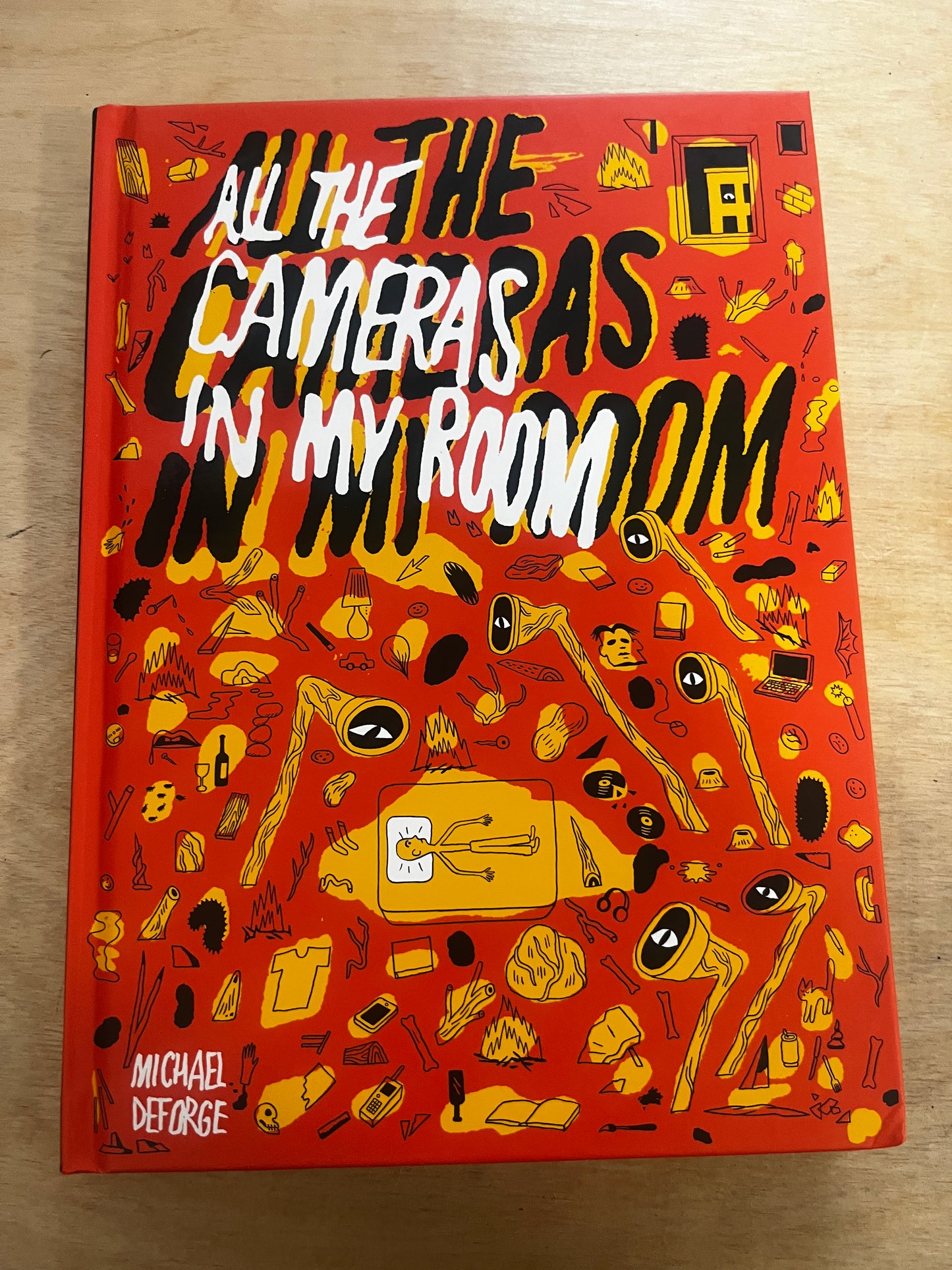 All the Cameras in My Room