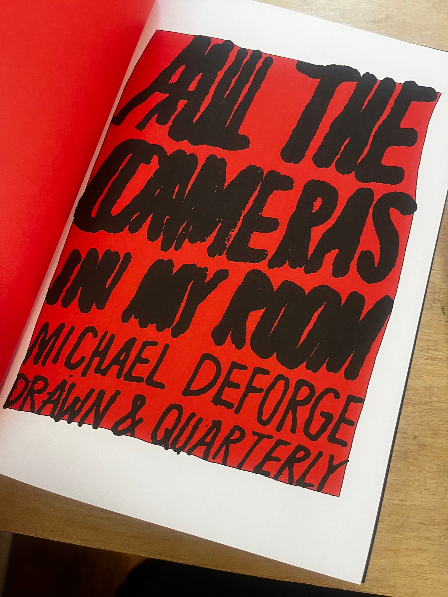 All the Cameras in My Room