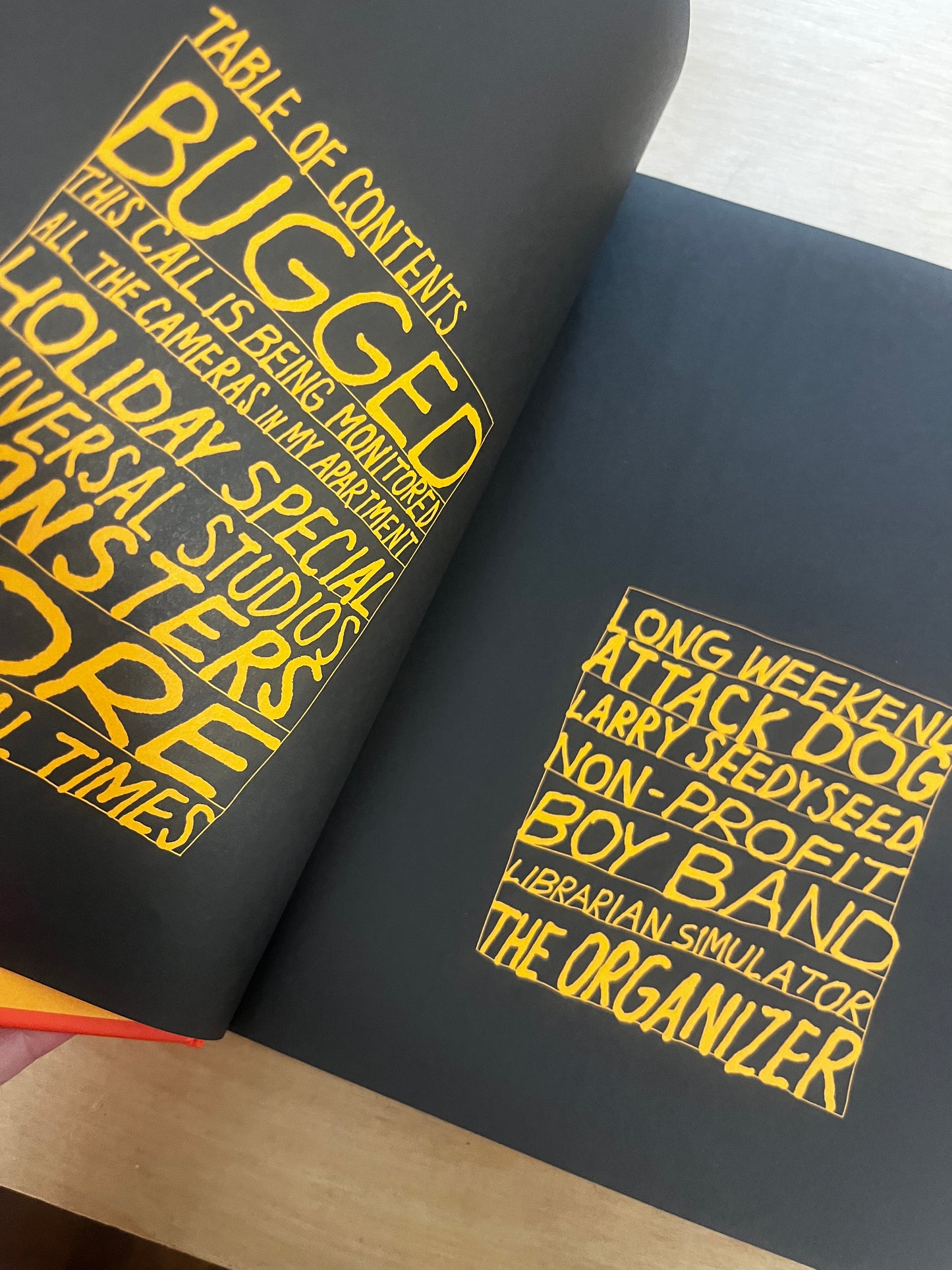 All the Cameras in My Room