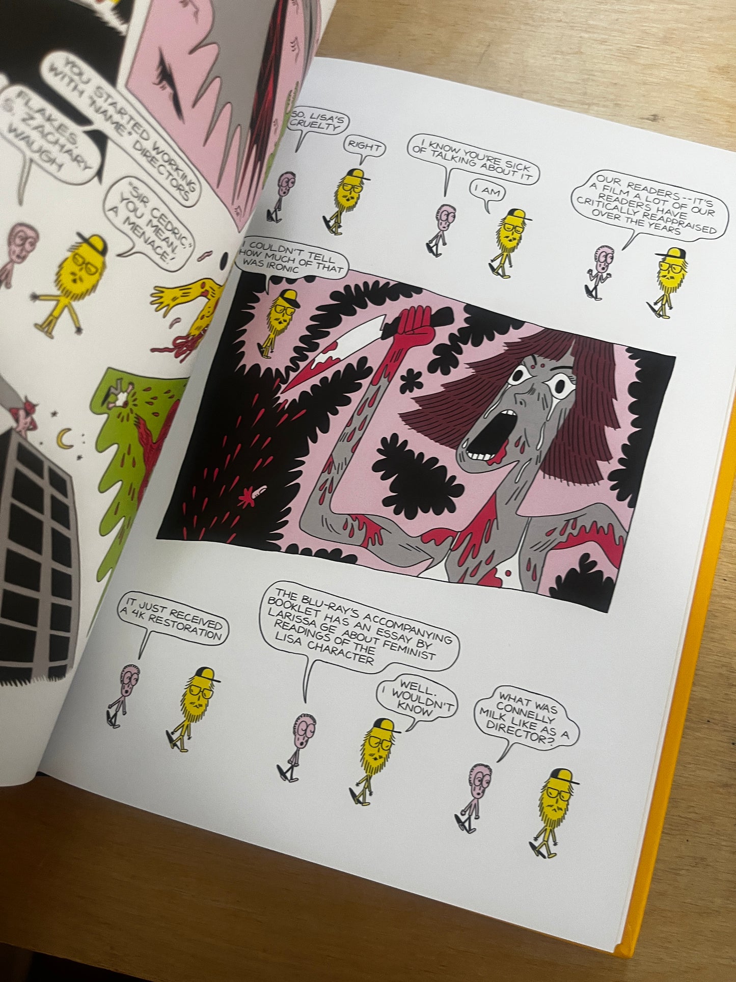 All the Cameras in My Room