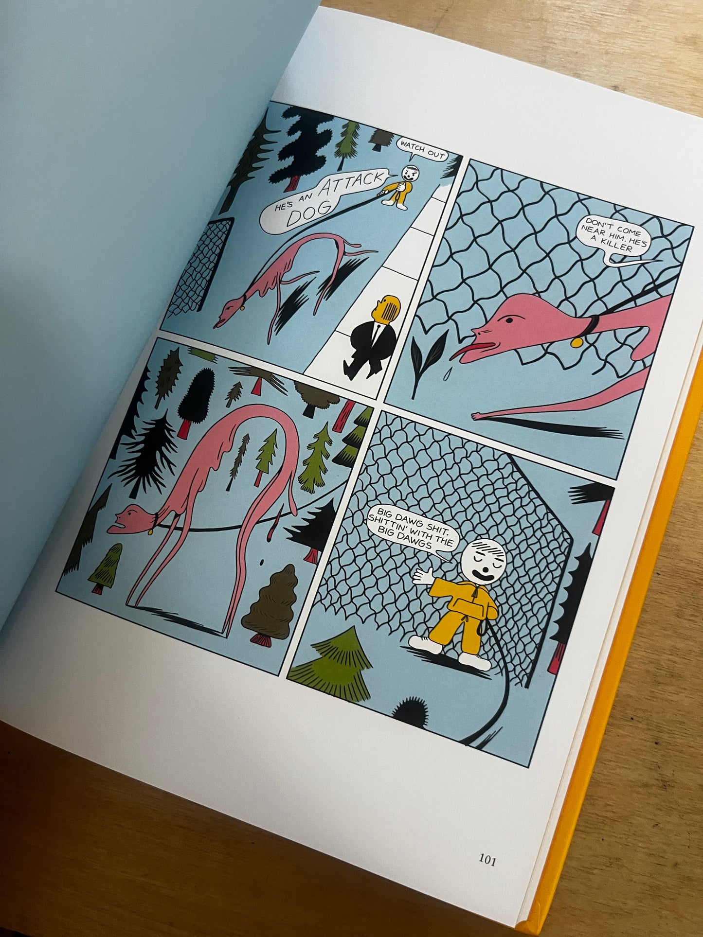 All the Cameras in My Room