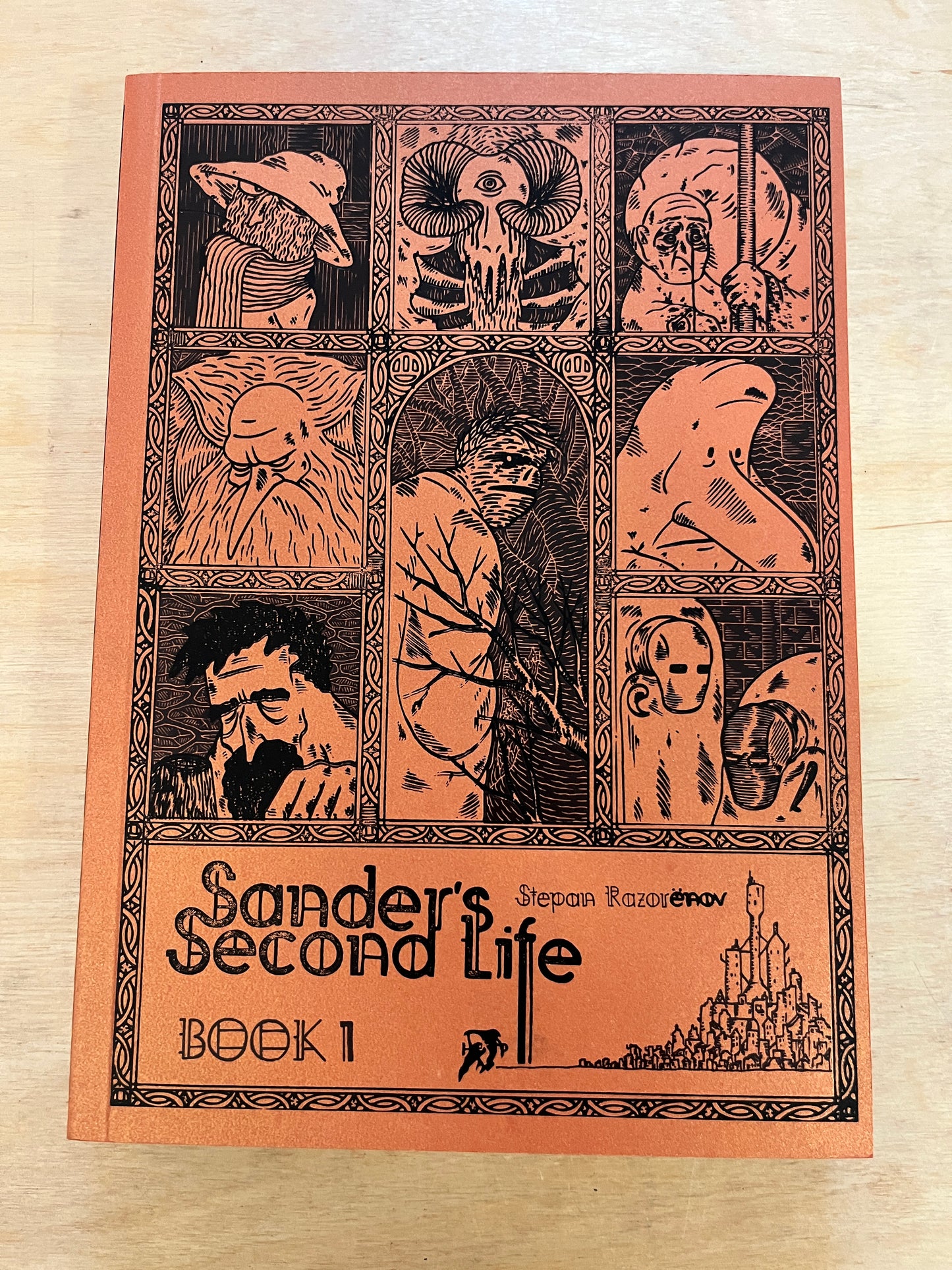 SANDER’S SECOND LIFE Book 1