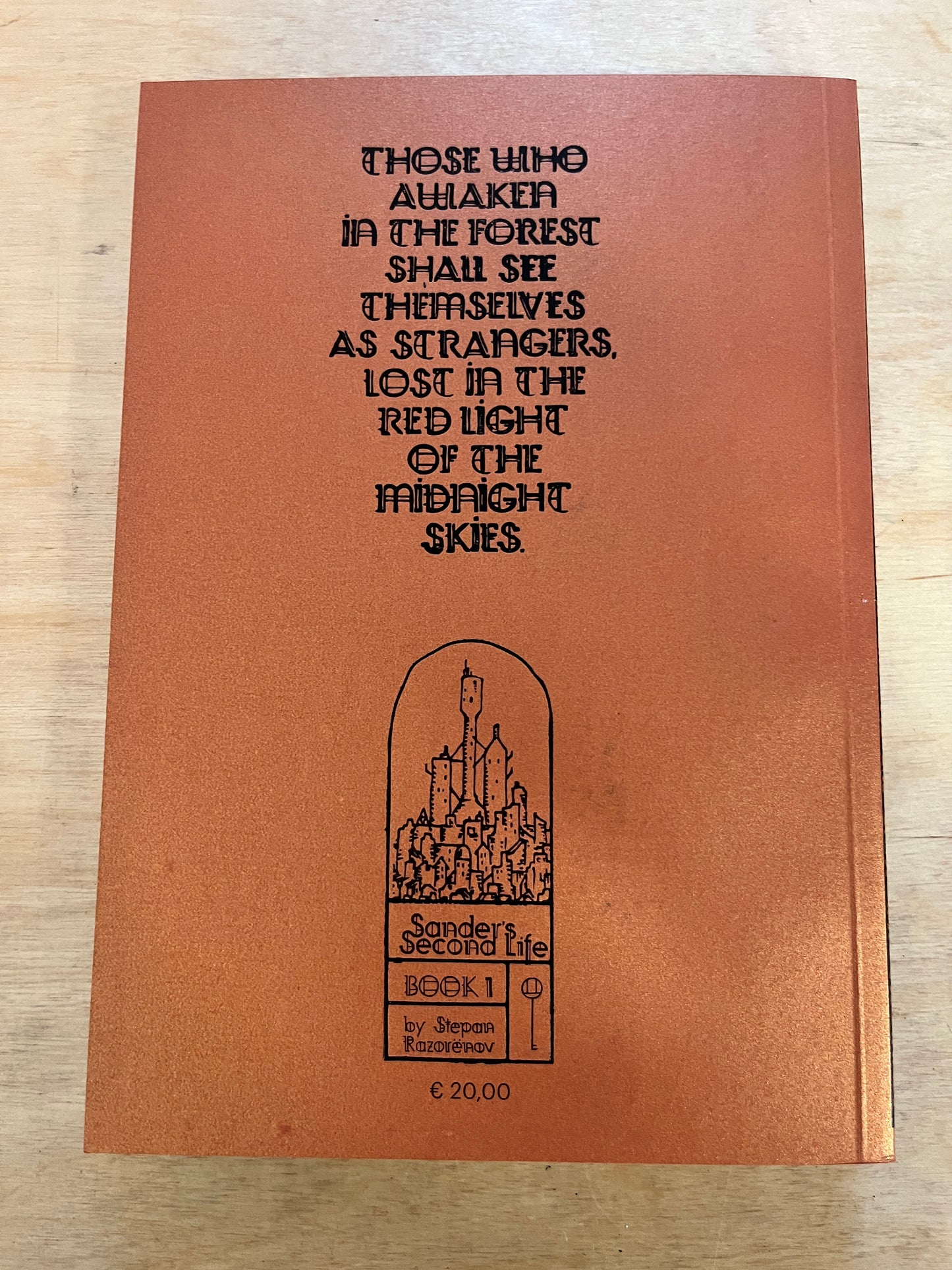 SANDER’S SECOND LIFE Book 1