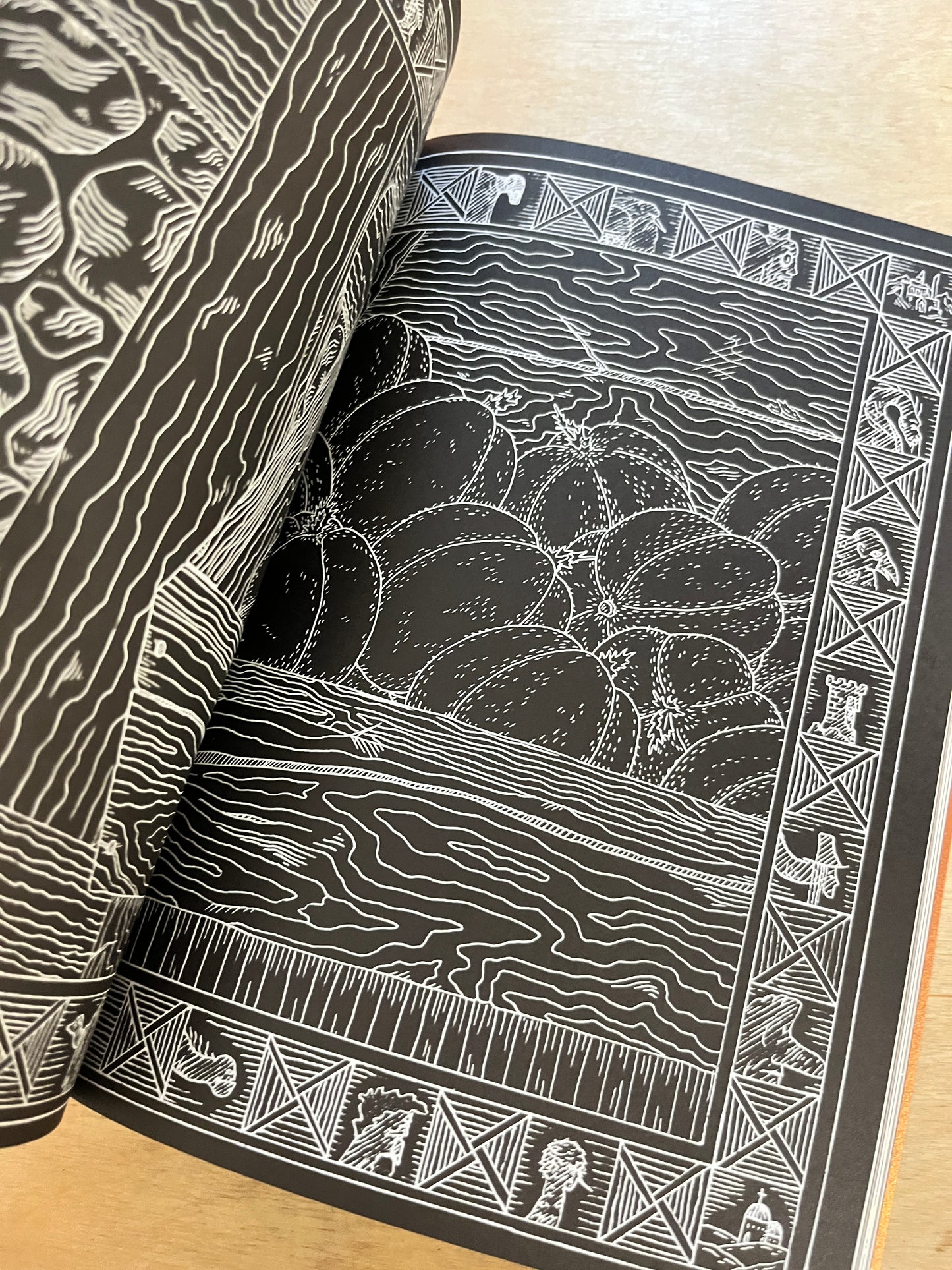 SANDER’S SECOND LIFE Book 1