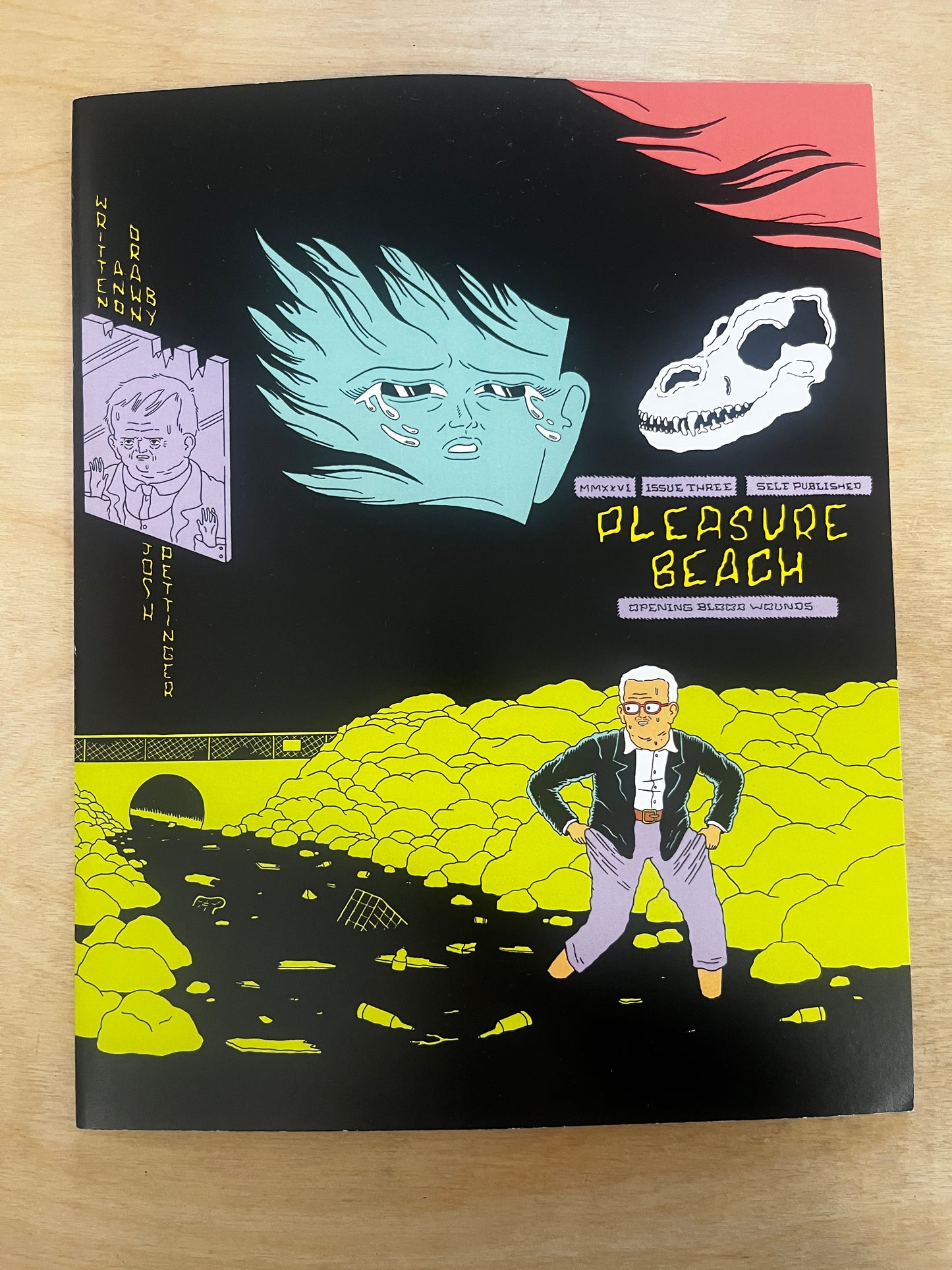 PLEASURE BEACH ISSUE 3