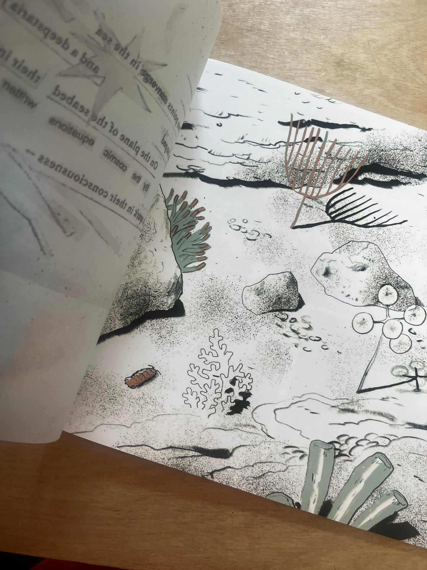 Two Points Converge in the Sea