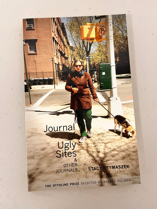 Journal of Ugly Sites & Other Journals