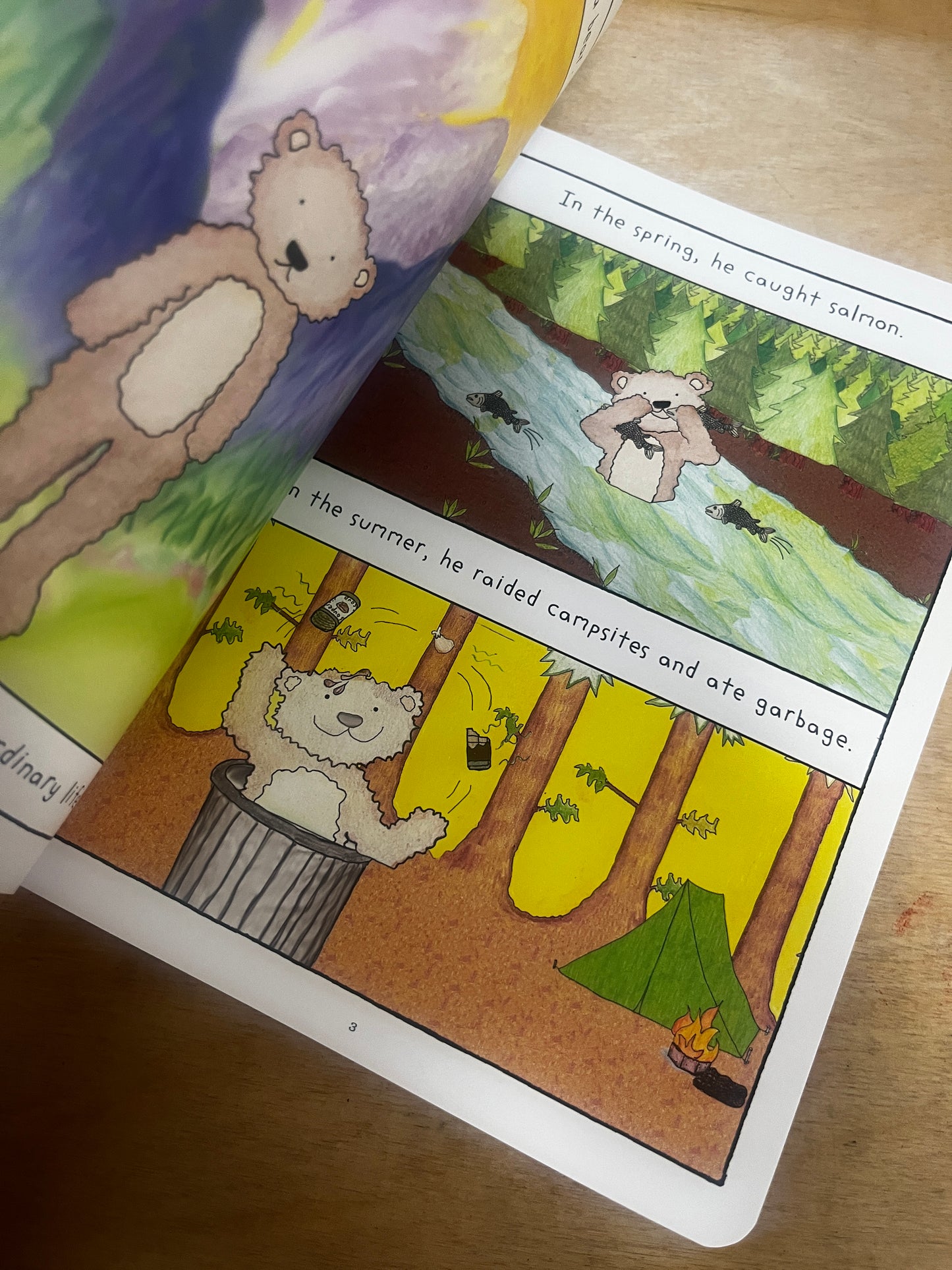 Bipolar Bear and the Terrible, Horrible, No Good, Very Bad Health Insurance:  A Fable for Grownups