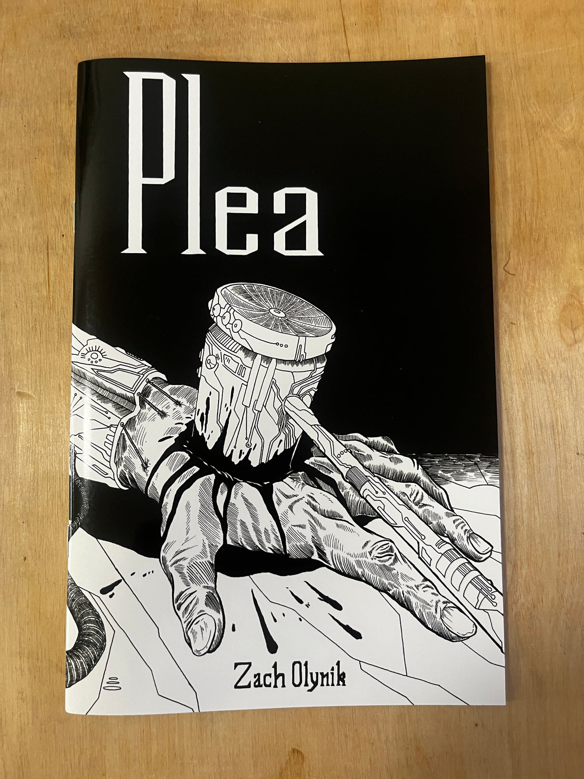 Plea