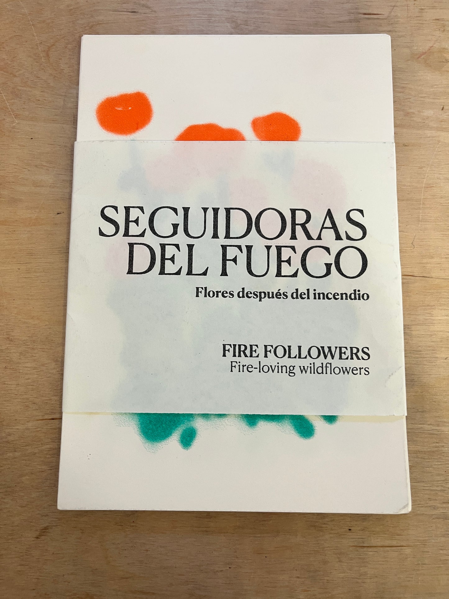 Seguidoras del Fuego
