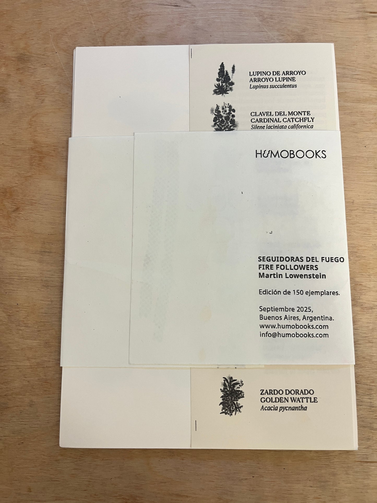 Seguidoras del Fuego