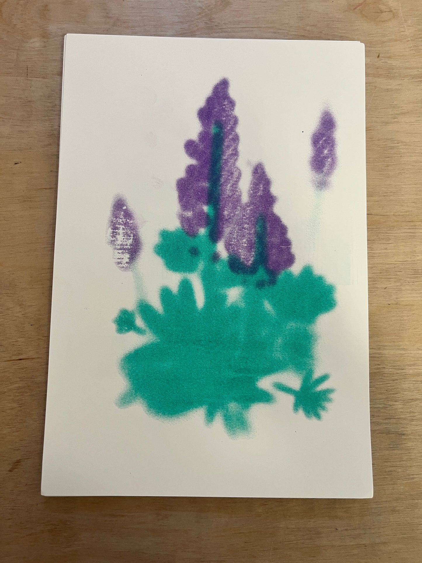 Seguidoras del Fuego