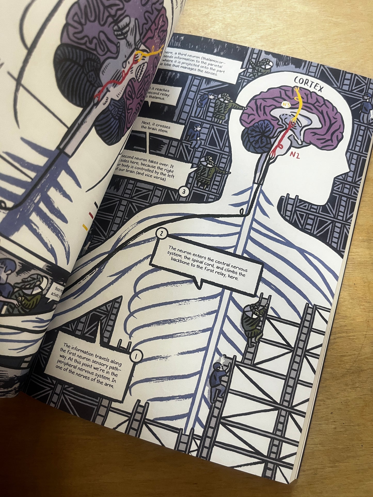 The Body Factory  From the First Prosthetics to the Augmented Human