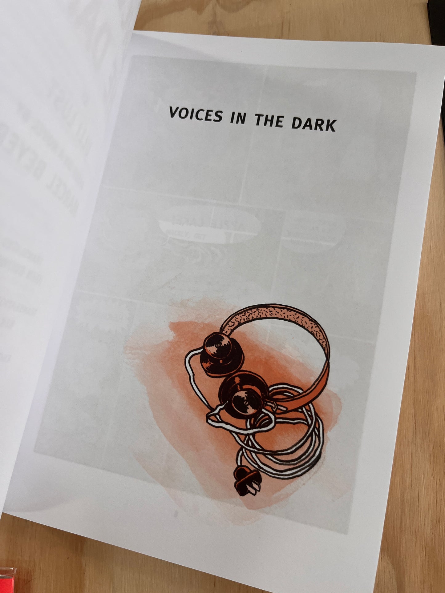 Voices in the Dark