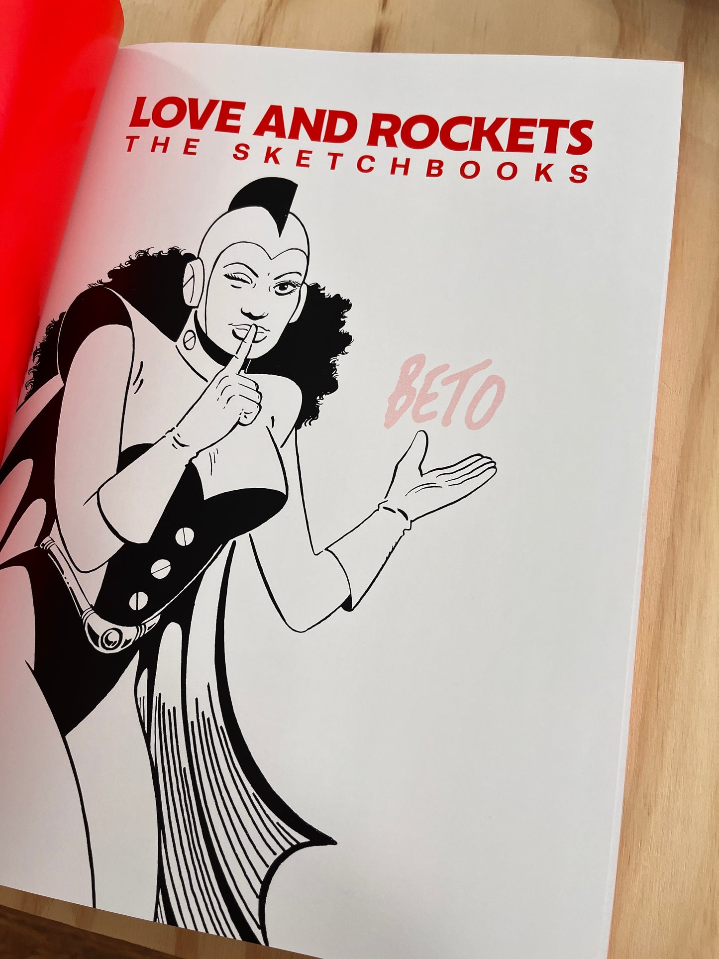 Love and Rockets: The Sketchbooks