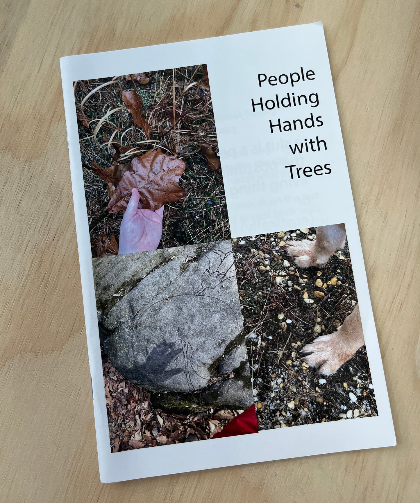 People Holding Hands with Trees