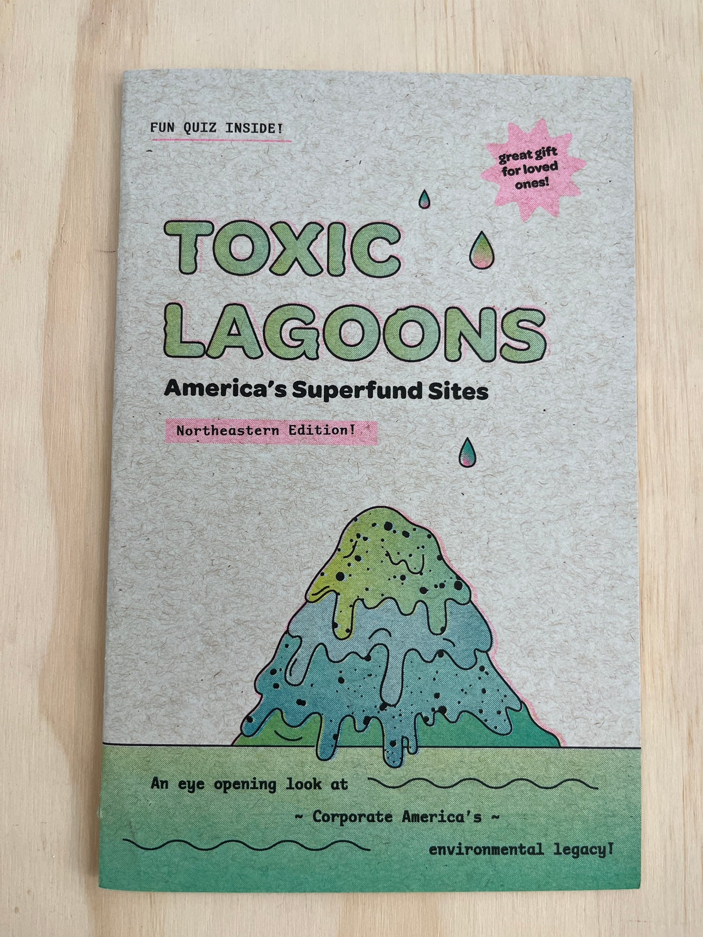 Toxic Lagoon Superfund Zine - Northeastern Edition!