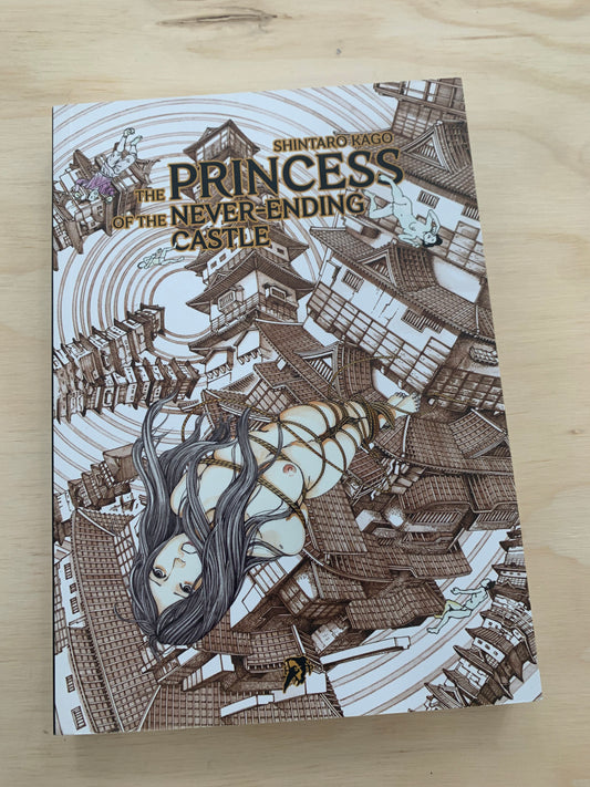 The Princess of the Never-Ending Castle (Pocket Edition)
