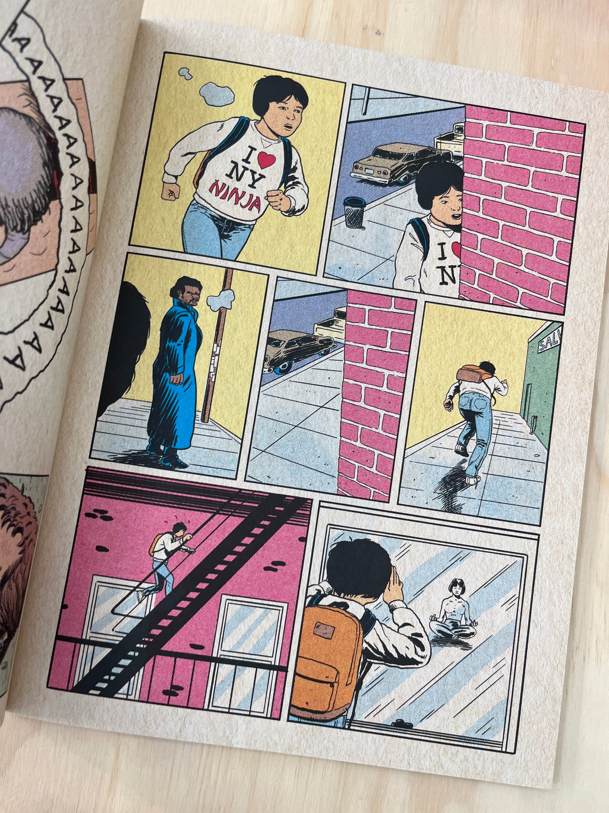 NEW YORK NINJA SUPER SPECIAL by Charles Forsman – Floating World Comics