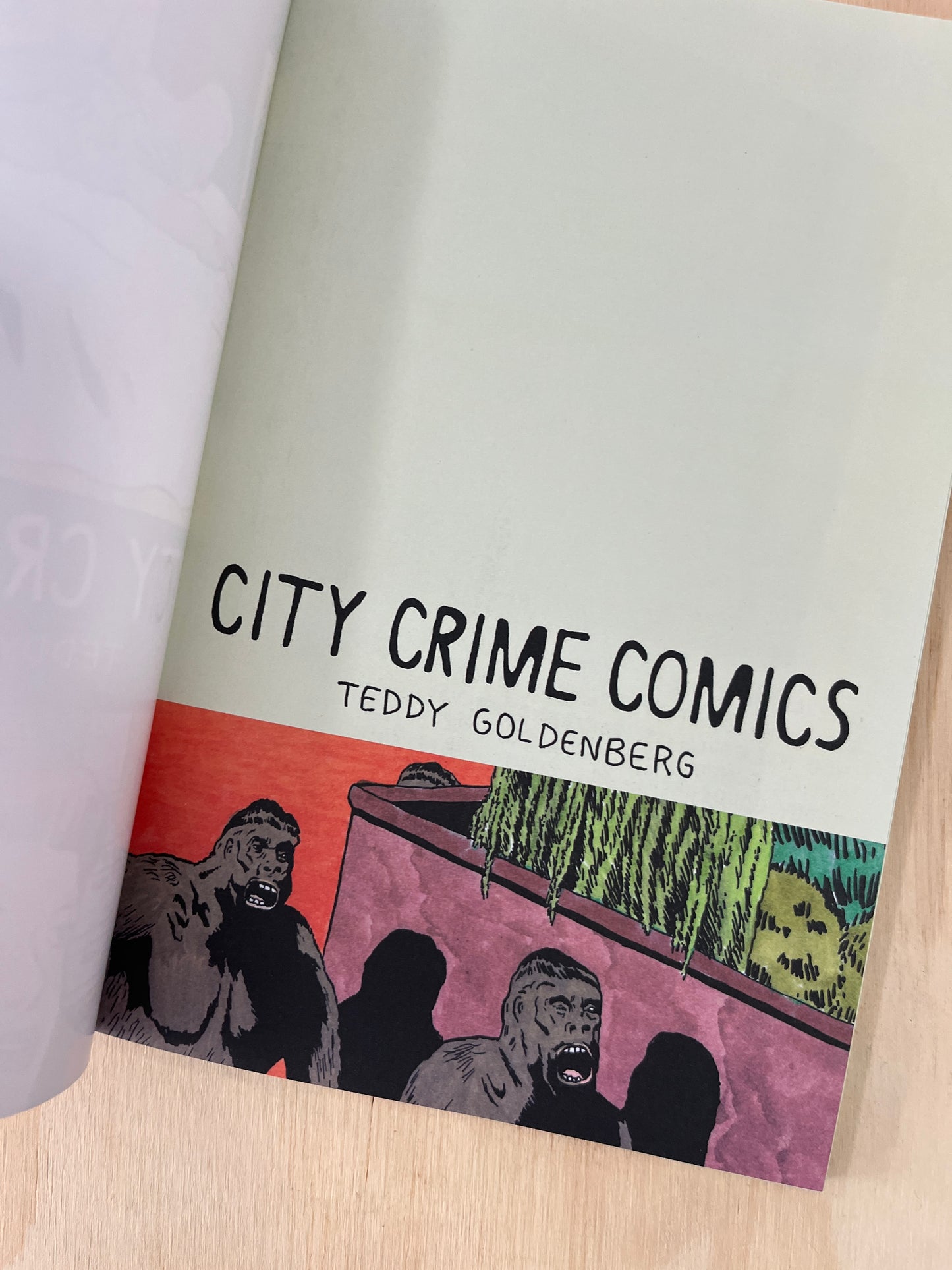 CITY CRIME COMICS